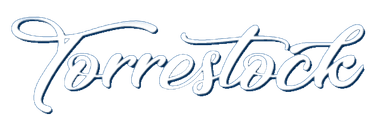 Torrestock Logo